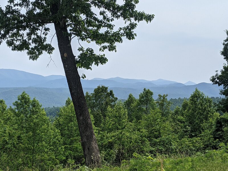 Red Knob Overlook