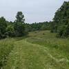 Meadow along the Blue Ridge Trail