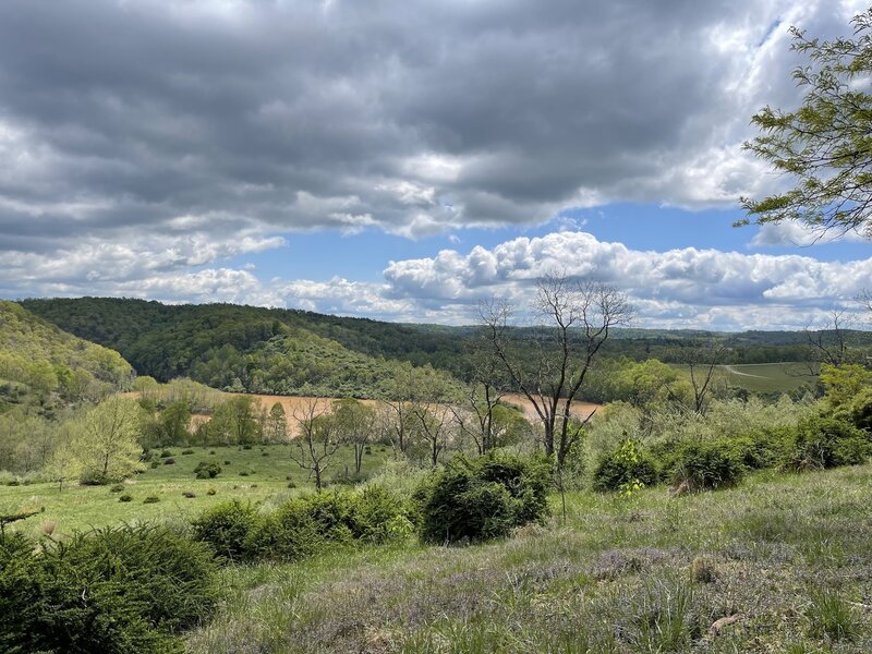 Leaving the woods, looking east, to enter the open field--with the North Bend Lake in the background.