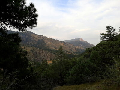 Looking east from the trail.