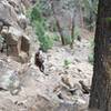 Palisade Trail, Southfork, Colorado