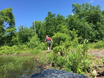 Yellow trail/Blue trail
