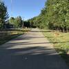 Deer crossing Olentangy Trail access to Ackerman Road through Ohio State's Olentangy River Wetlands Research Park.