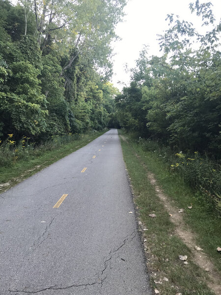 Paved path on Olentangy Trail near the Buckeye Swamp.