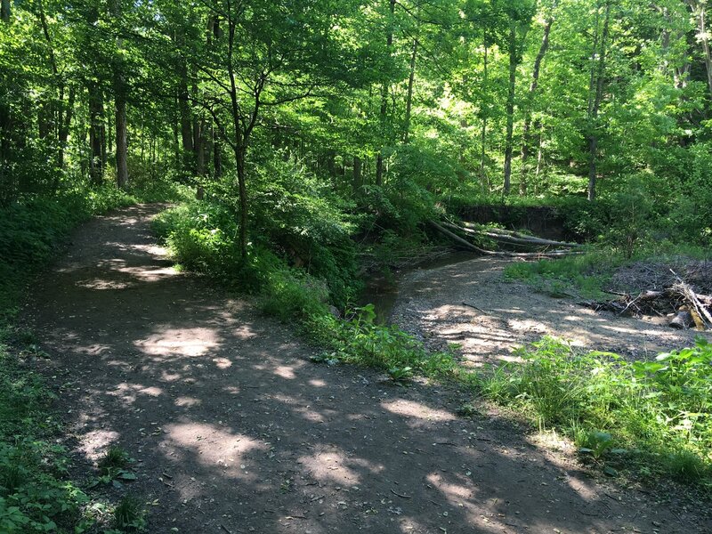 Trail and river.