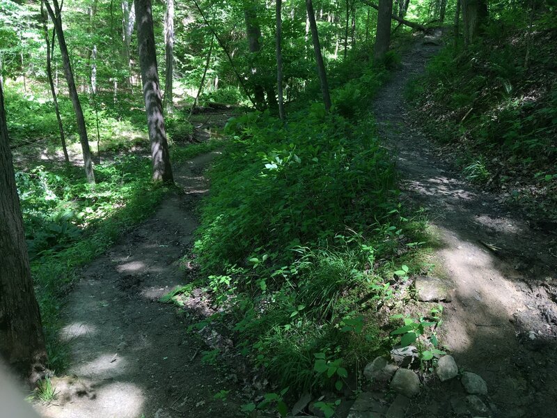 Switchback near the stream crossing.