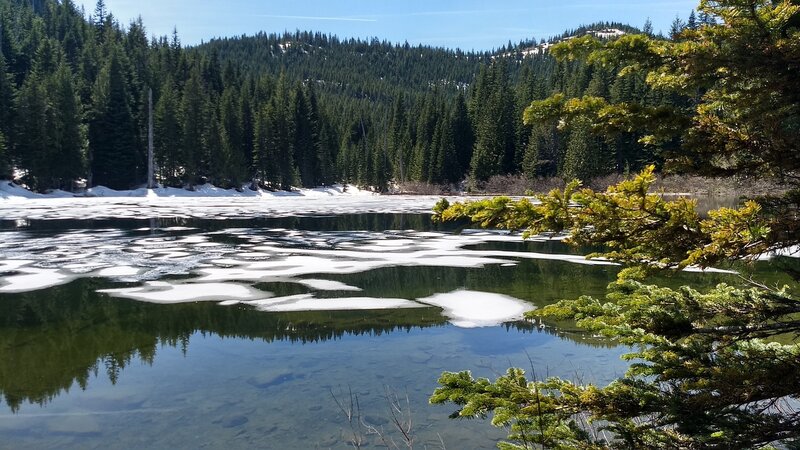 Where the trail hits Burnt Lake. Beware of beggar birds, they will eat from you hand.