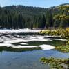 Where the trail hits Burnt Lake. Beware of beggar birds, they will eat from you hand.