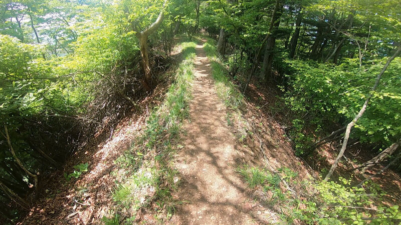 The trail following the ridge line.