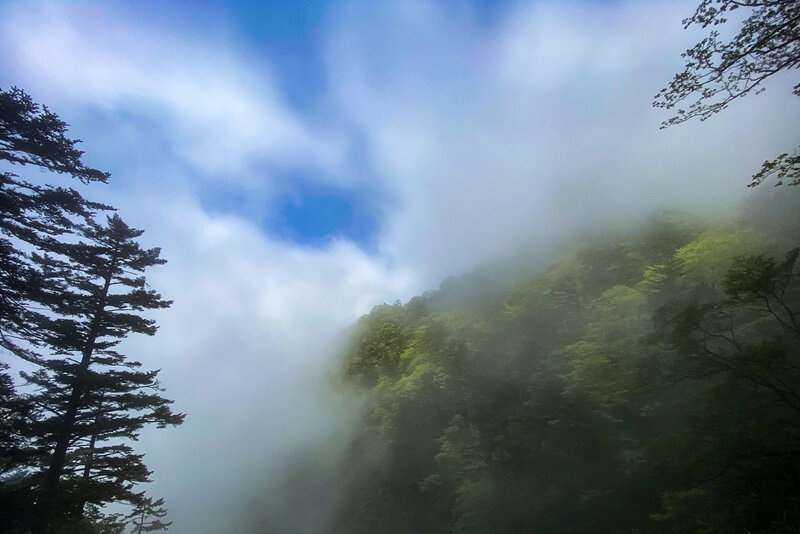 A view through the fog.