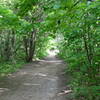 The Walter Tovell Trail in spring.