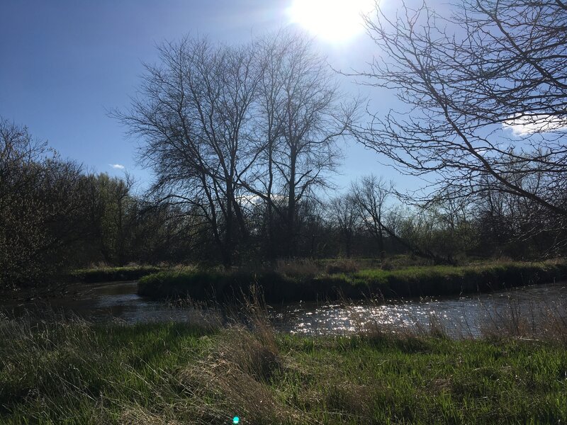 Bend in the creek, seen from the mowed trail.