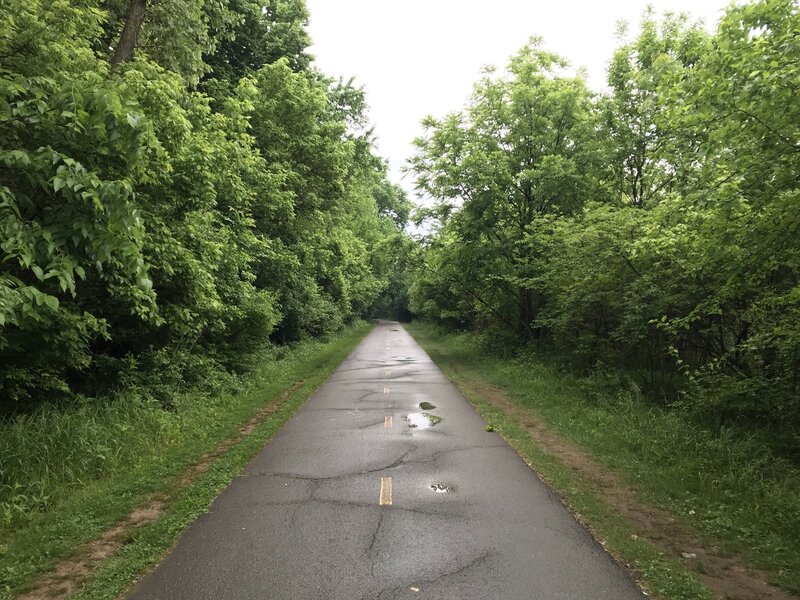 Looking south on the paved trail near the Buckeye Swamp.