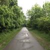 Looking south on the paved trail near the Buckeye Swamp.