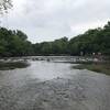 Looking North from the bridge over Olentangy River near Dodridge St.