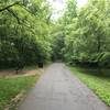 A bench facing West towards the Olentangy River on the Olentangy Trail