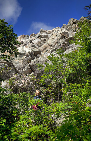 After an overcast morning, the sun finally came out, right as we started down the path from the summit.