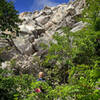 After an overcast morning, the sun finally came out, right as we started down the path from the summit.