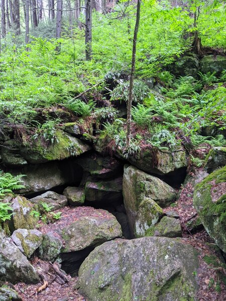 Rocks at Ice Glen Trail