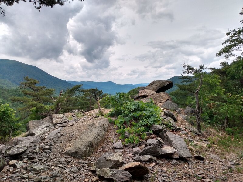 Sulphur Springs Trail