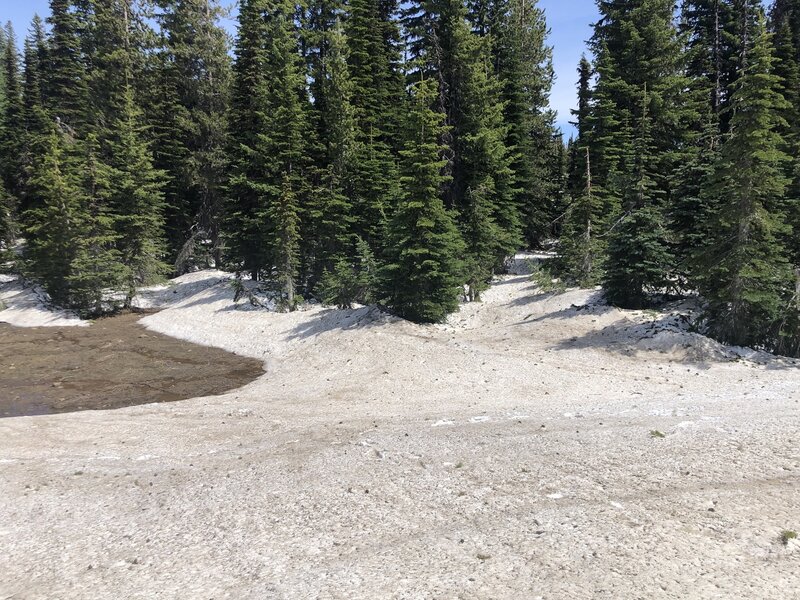 Snow bank on top. Lost trail to continue.