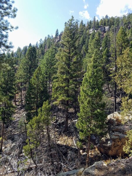 Trail climbs along a dry ravine.