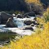 Looking Upstream - Majestic Boulders scattered in the South Fork of the South Platte River.