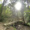 Bridge over Flat Creek.