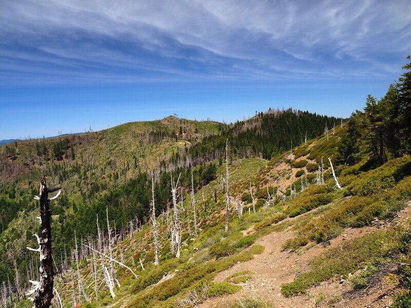 Looking back toward the trailhead from where the trail first crosses the ridge.