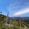 Fish Hook Peak (arrow) from the trail.