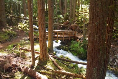 Sturdy bridge over Buck Creek (Note: Skookum Flats Trail is upstream from location currently mapped in Hiking Project)