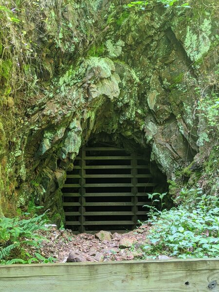 Historic mine entrance.