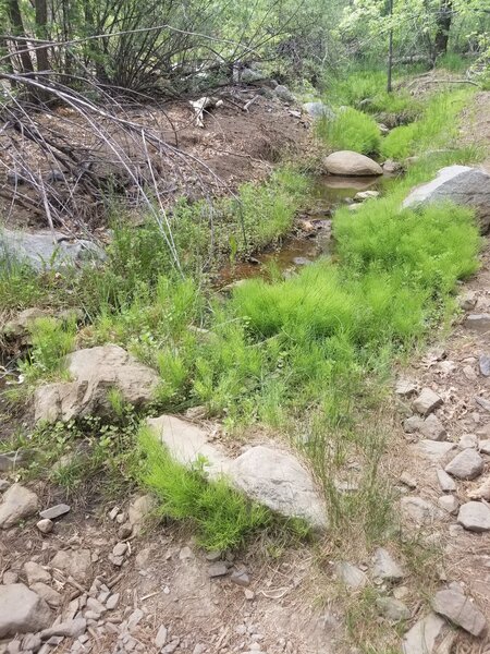 Crossing Bannon Creek on Trail 396.