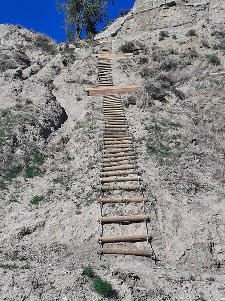 View from the base of the ladder.