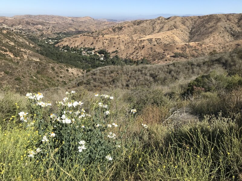 Looking down at Modjeska Canyon.