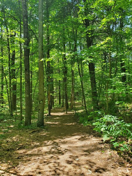 Beginning of the Summit Loop