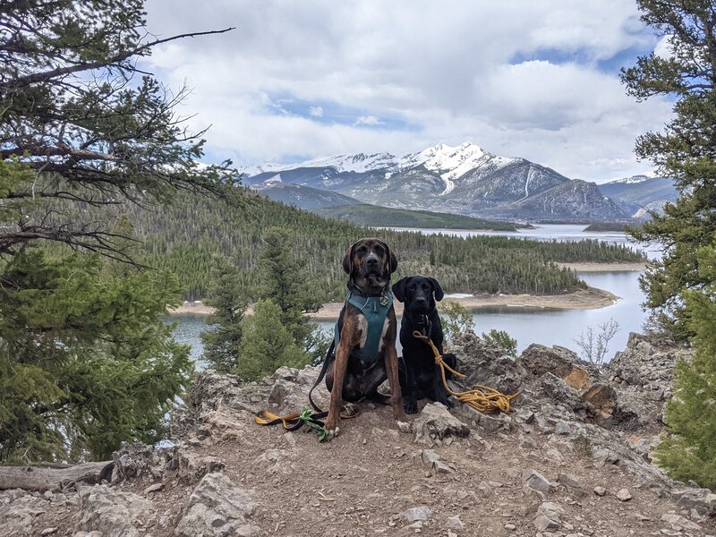 Two very good boys and the gorgeous views to the west along the Ridge Trail.