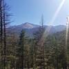 View of Pikes Peak from Heizer Trail.