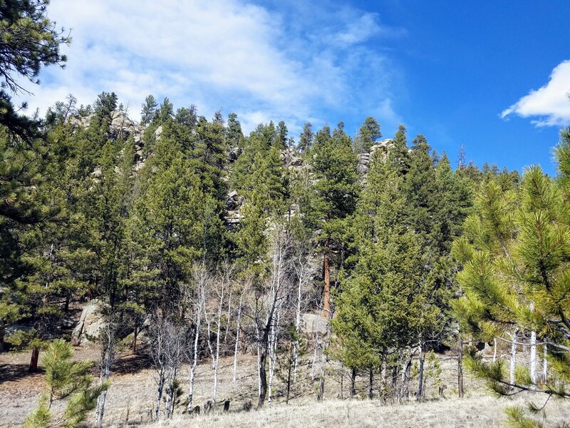 Pine rock outcroppings