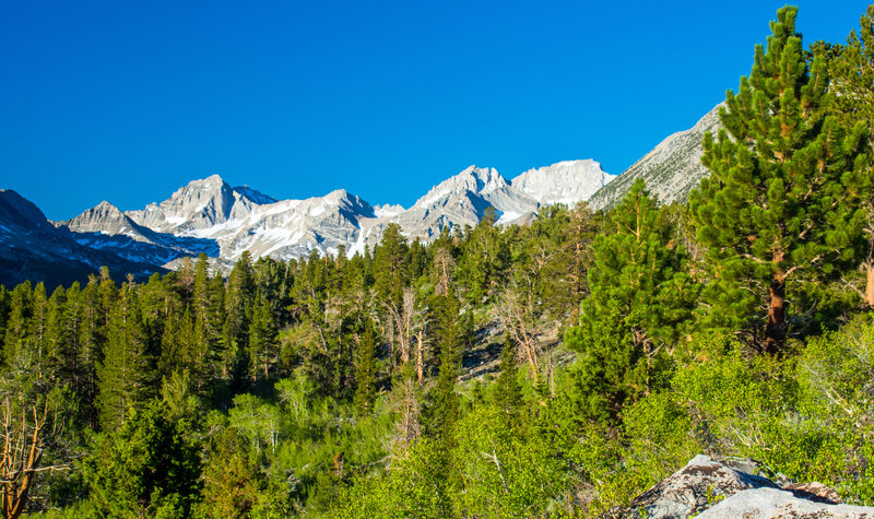 Morning view of Sierra crest from Hilton Lakes Trail. From left to right: Bear Creek Spire, Mt. Dade, Mt Abbot, and Mt. Mills, allover 13,000 feet.