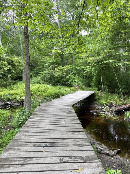 Red Trail at Fort Barton.