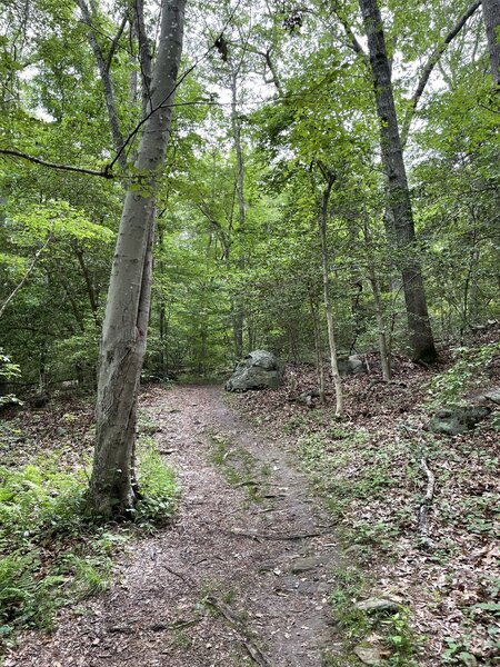 Red Trail at Fort Barton