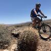Riding past a Barrel Cactus near the end of the trail.