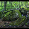 Some of the smaller falls along the stream that parallels the South River Falls Trail.