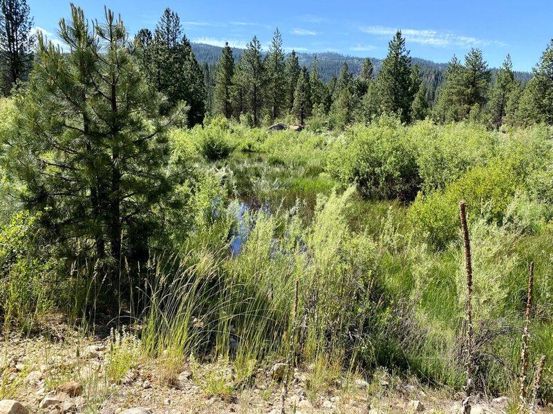 Photo fo the creek flowing along the southern half of the trail.