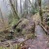 Nice bridge over small water trickle.