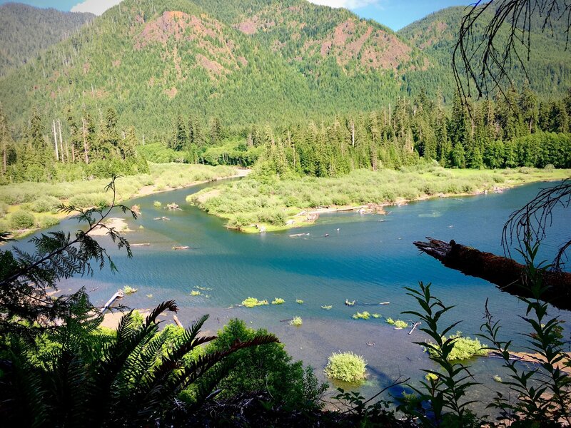 View from the west shore at the very north end of Wynoochee Lake, where the Wynoochee River begins to widen.