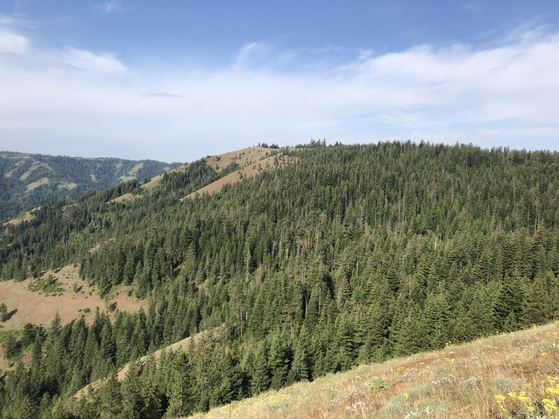 Looking west. Flat plateau with grass meadow in center of photo. Perfect camp spot