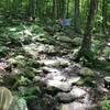 Appalachian Trail near Bennington, VT