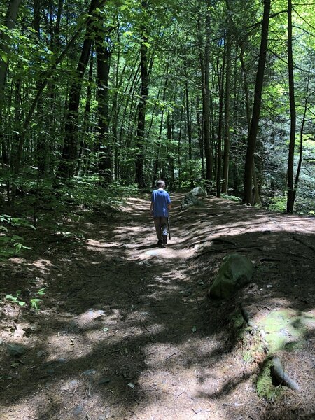 Cascade Trail